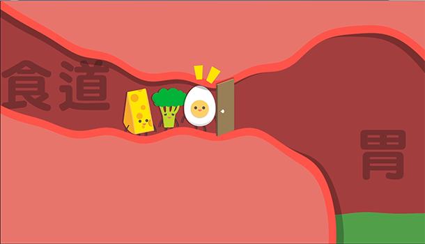 胃酸相關胃腸疾病概說