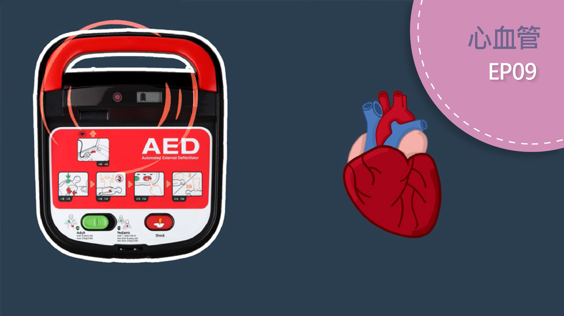 AED