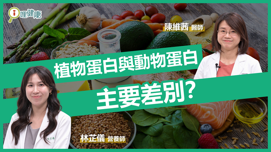 植物蛋白與動物蛋白的主要差別？