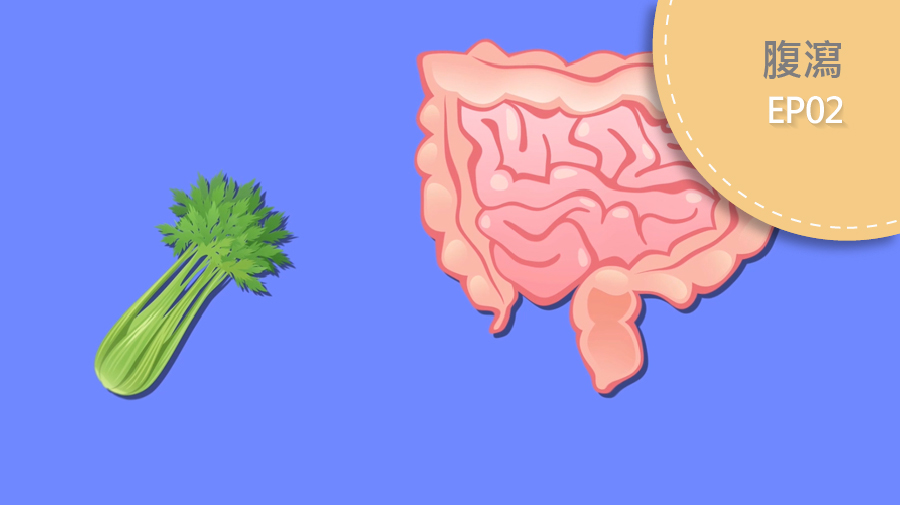腹瀉時該吃什麼好？