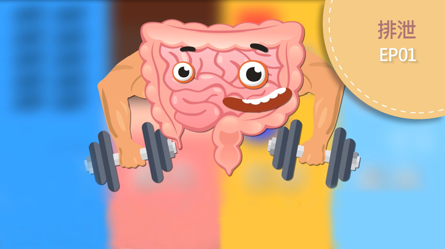 從便便看腸胃健康