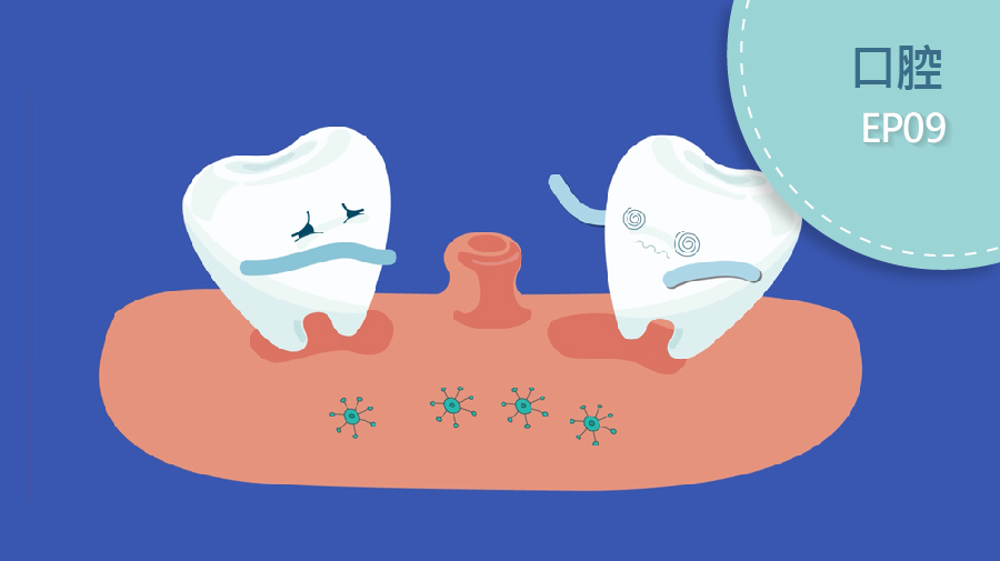 為甚麼牙齒旁邊會長牙胞？