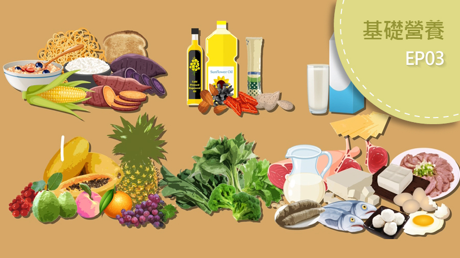 均衡飲食要留意 食物份數知多少？
