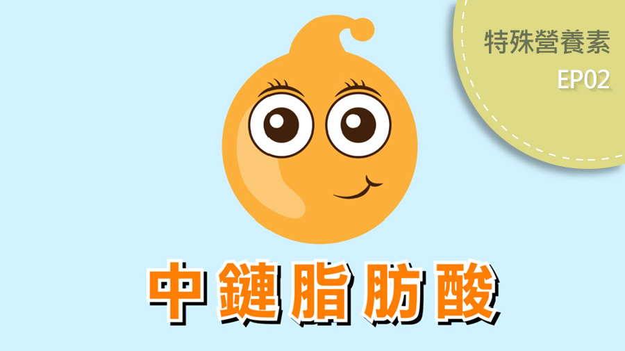 認識中鏈脂肪酸