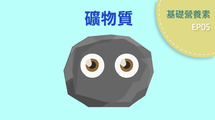 認識礦物質