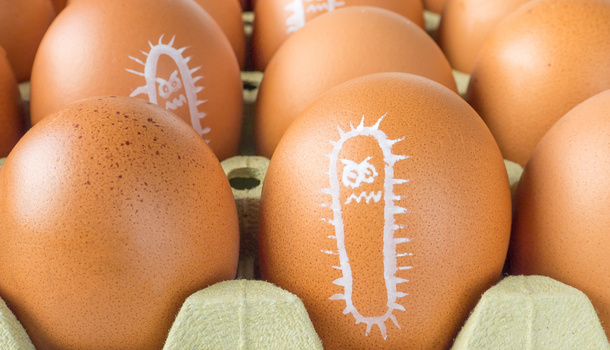 蛋類與熟食處理不當？小心沙門氏桿菌找上門！